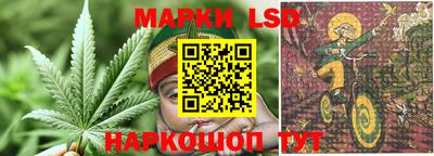 гидропоника Балаково