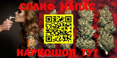 молекула духа Балахна