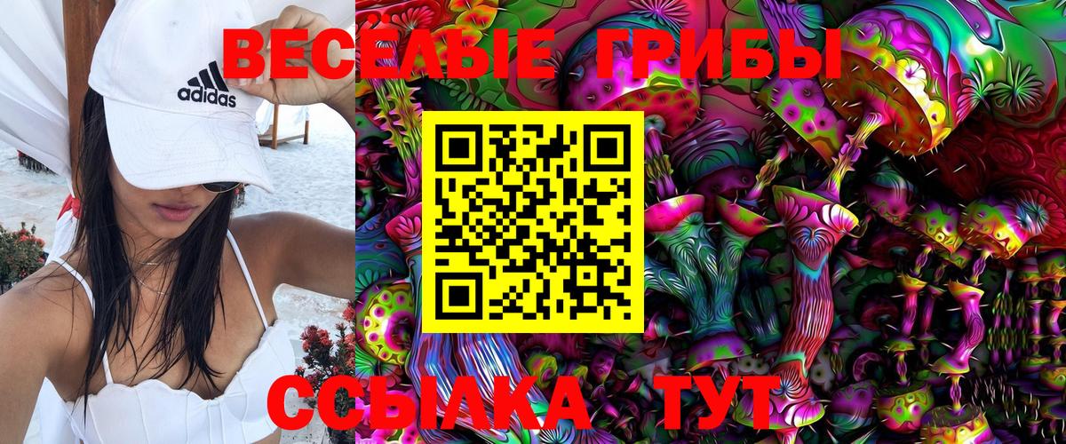 Бугуруслан  Галлюциногенные грибы Cubensis  Вход с VPN 